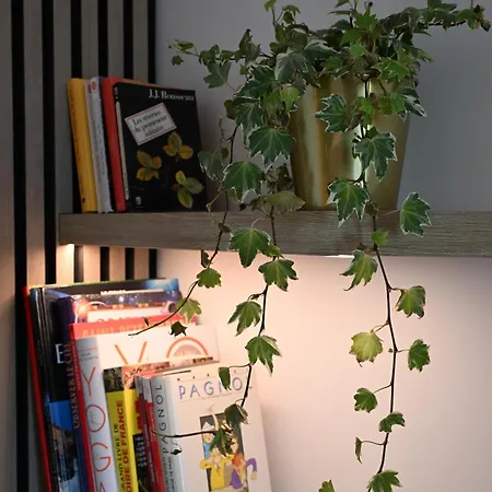 Appartement Design Centre Residence Historique Avec Parking * Amiens