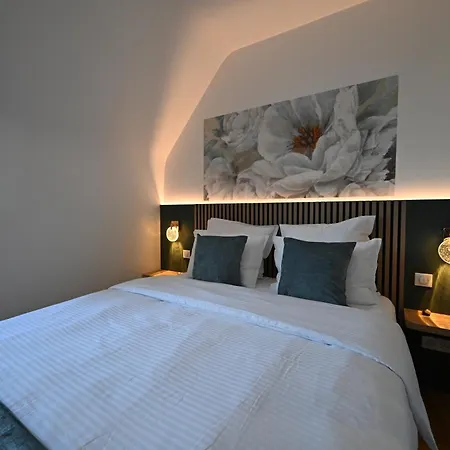 Appartement Design Centre Residence Historique Avec Parking *