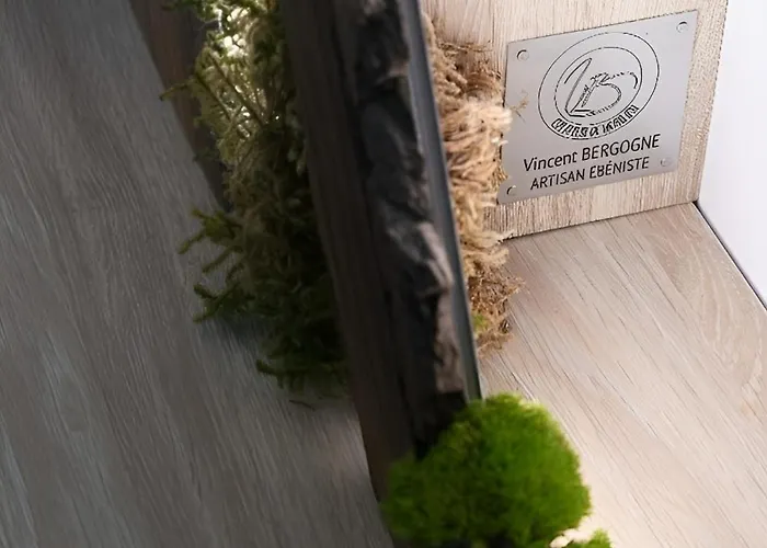 Calme rare en hypercentre - Appartement tout confort - Résidence historique de caractère Appartamento