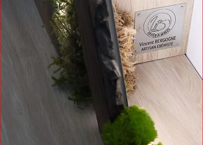 Calme Et Raffine Hypercentre Historique Parking Public Amiens